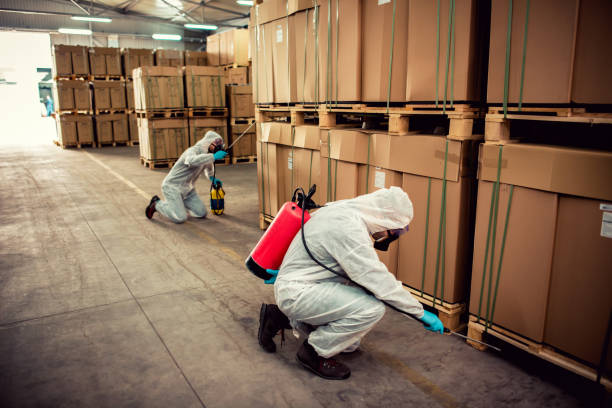 Wasp Removal Services in Grayson Valley, AL