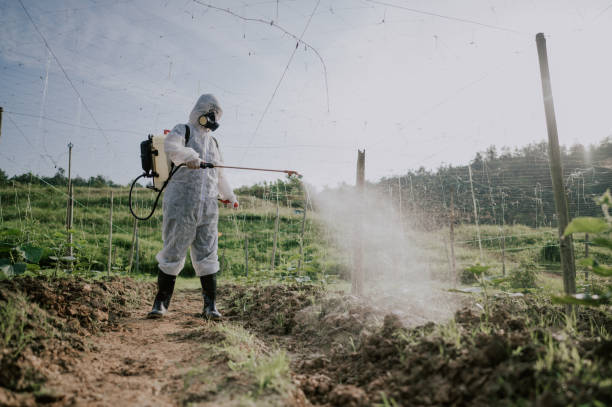 Best Pest Control Treatment  in Grayson Vley, AL