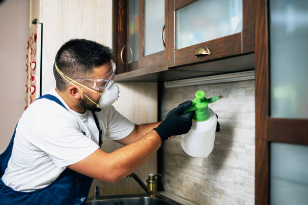 Best Pest Removal Services  in Grayson Vley, AL