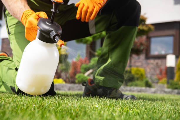 Best Local Pest Control Services  in Grayson Vley, AL