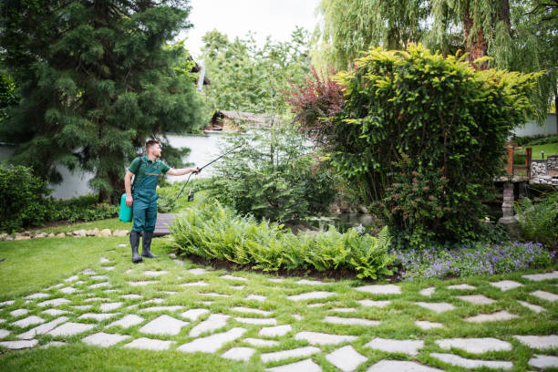 Best Pest Removal Services  in Grayson Vley, AL