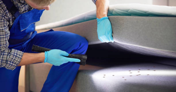 Best Best Pest Control Companies  in Grayson Vley, AL