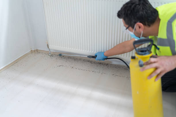 Best Flea Control Services  in Grayson Vley, AL