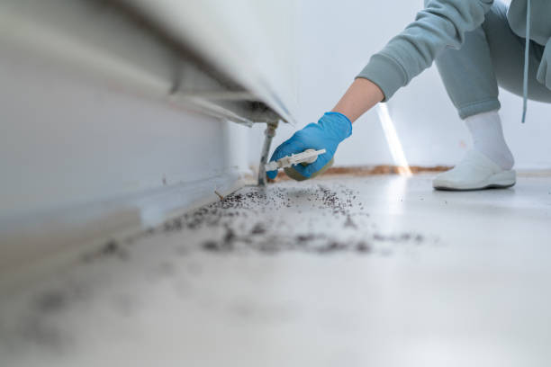 Best Commercial Pest Control Services  in Grayson Vley, AL